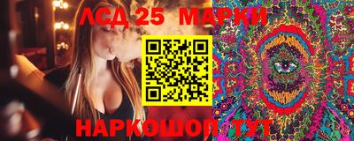 Альфа ПВП Ставрополь