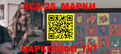Альфа ПВП Ставрополь