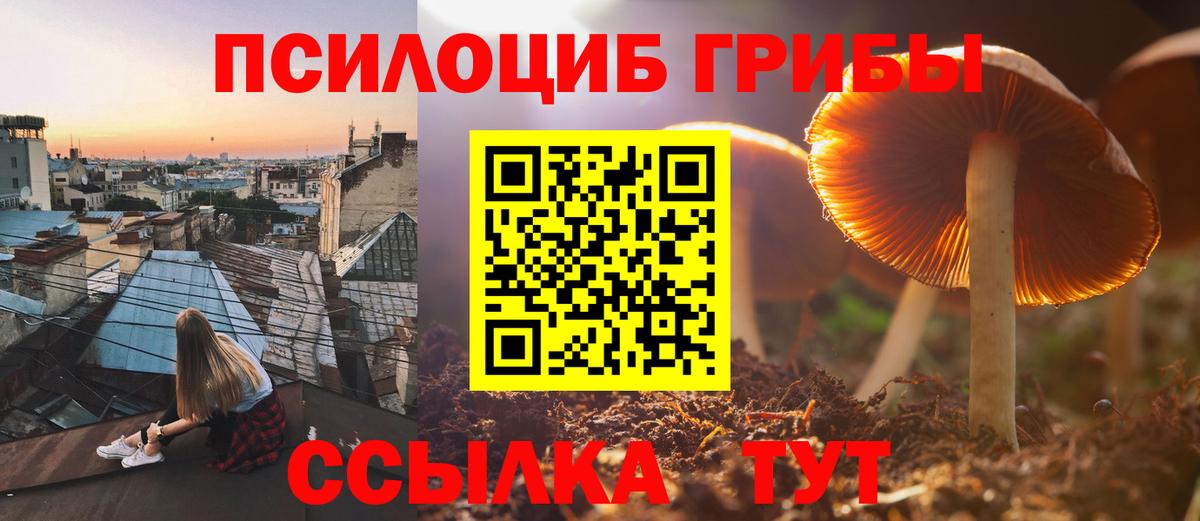 Псилоцибиновые грибы ЛСД Аксай